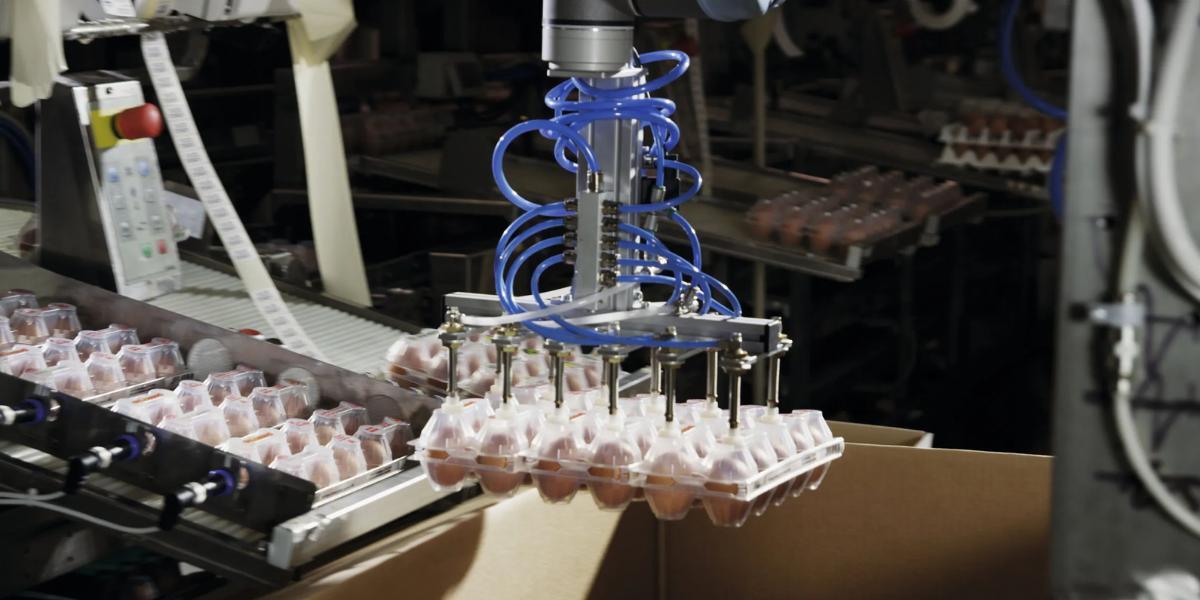 The Rise of Collaborative Robots in the Agri-Food Industry